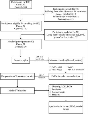 Determination of monosaccharide composition in human serum by an improved HPLC method and its application as candidate biomarkers for endometrial cancer